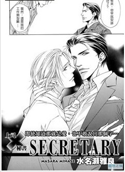 秘书,秘书漫画
